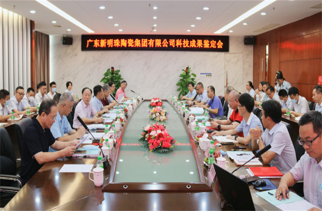 一項“國際領先”，兩項“國際先進”！新明珠3項科技成果成功通過審議